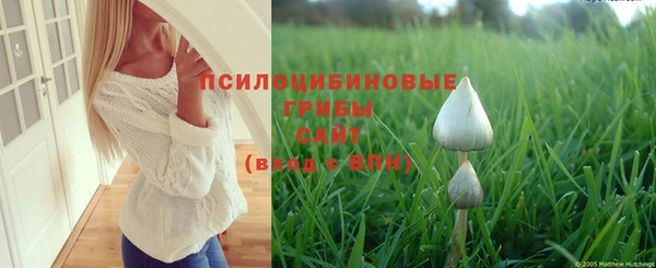 мдпв Ладушкин