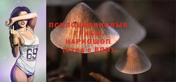 стафф Лабытнанги