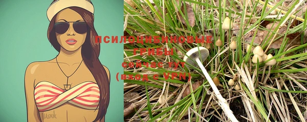 стафф Лабытнанги