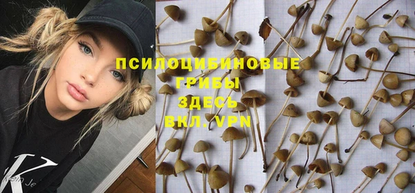 дурь Лиски