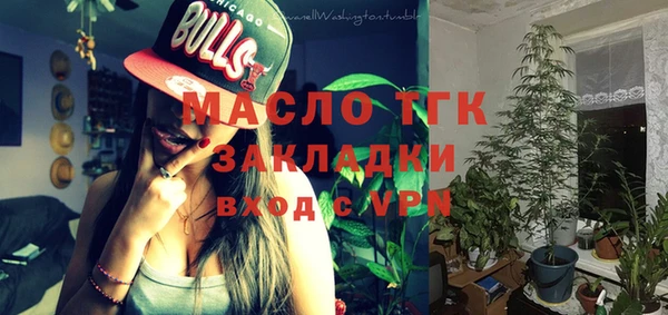 мдпв Ладушкин