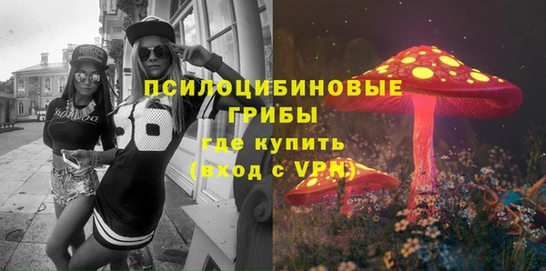 мдпв Ладушкин