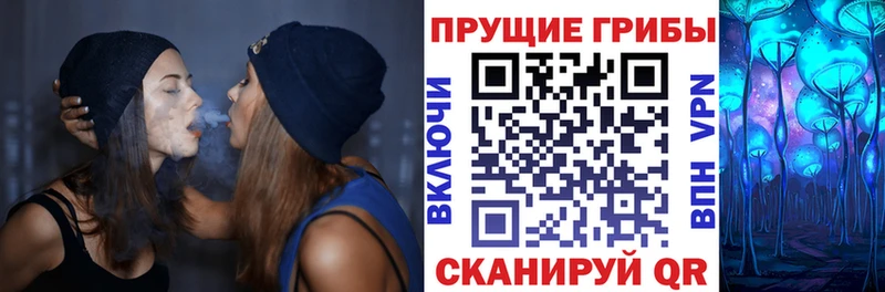 omg маркетплейс  Лакинск  Галлюциногенные грибы Cubensis  что такое  